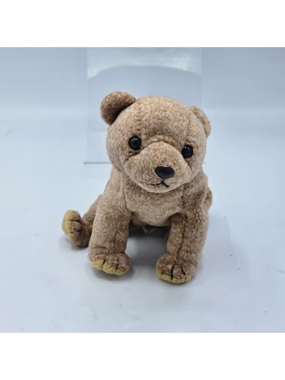 Ty Beanie Baby Pecan The Bear 1999, Vintage Collectible Retired Rare